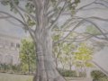 aquareliste clermont